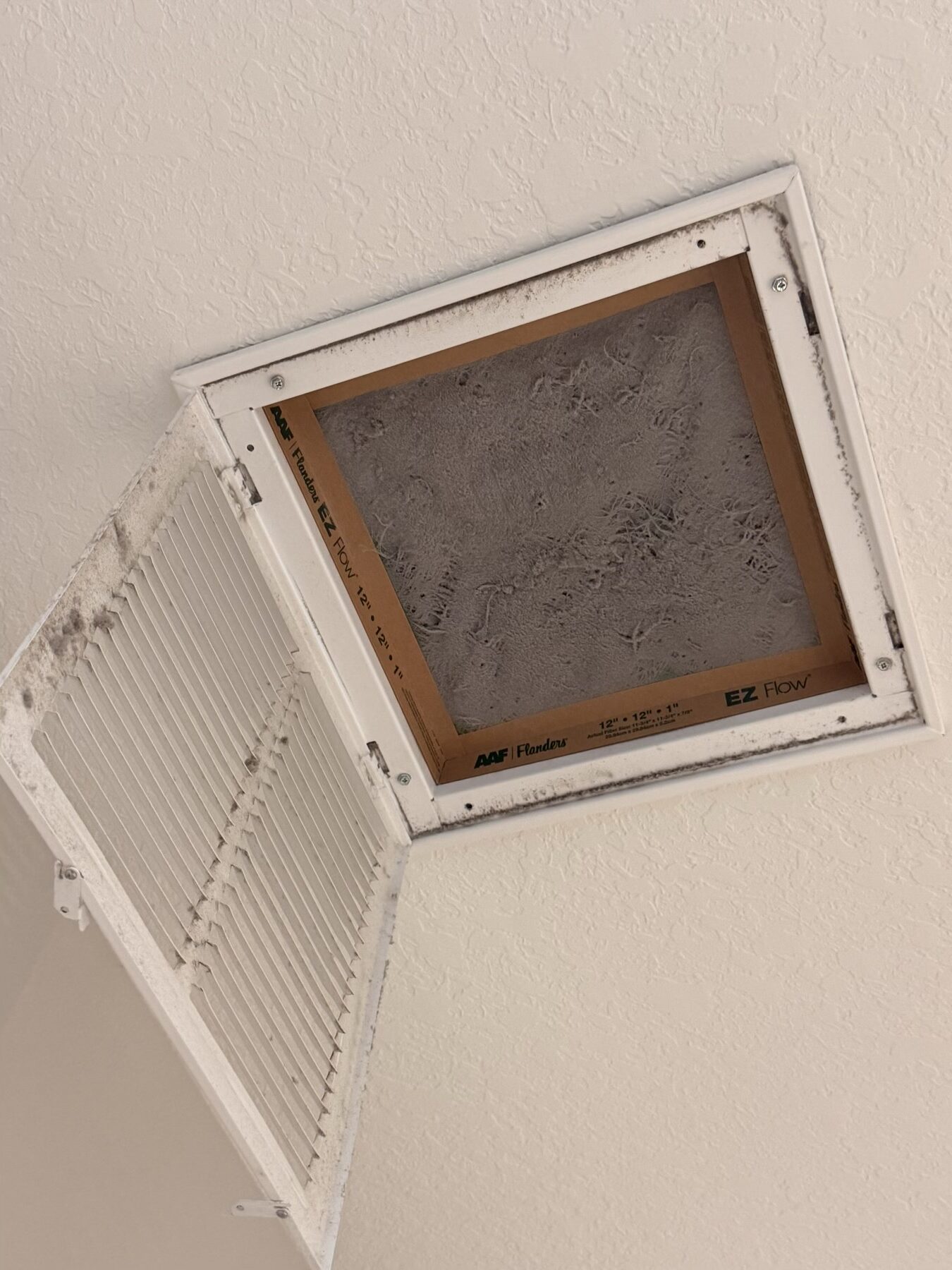 Residential air filter replacement and monthly maintenance plan work